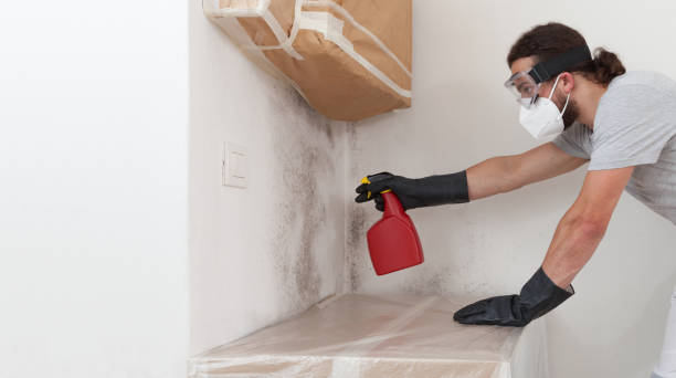 Professional Mold Testing technician working in Fairview, NY